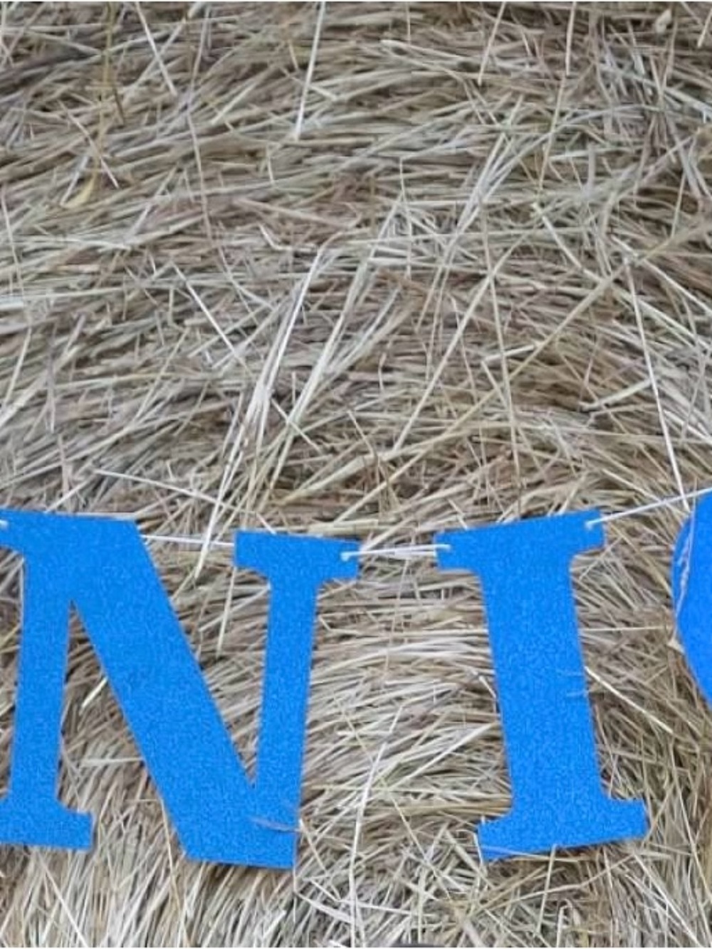 Blue Letter Senior Banner